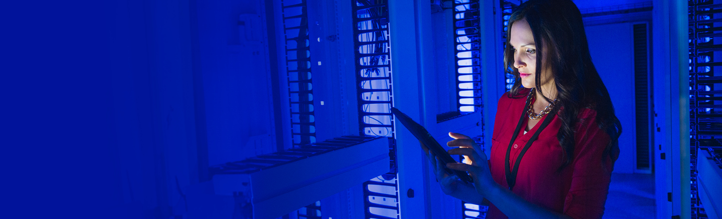 Hays Global Cyber Security Report 2024